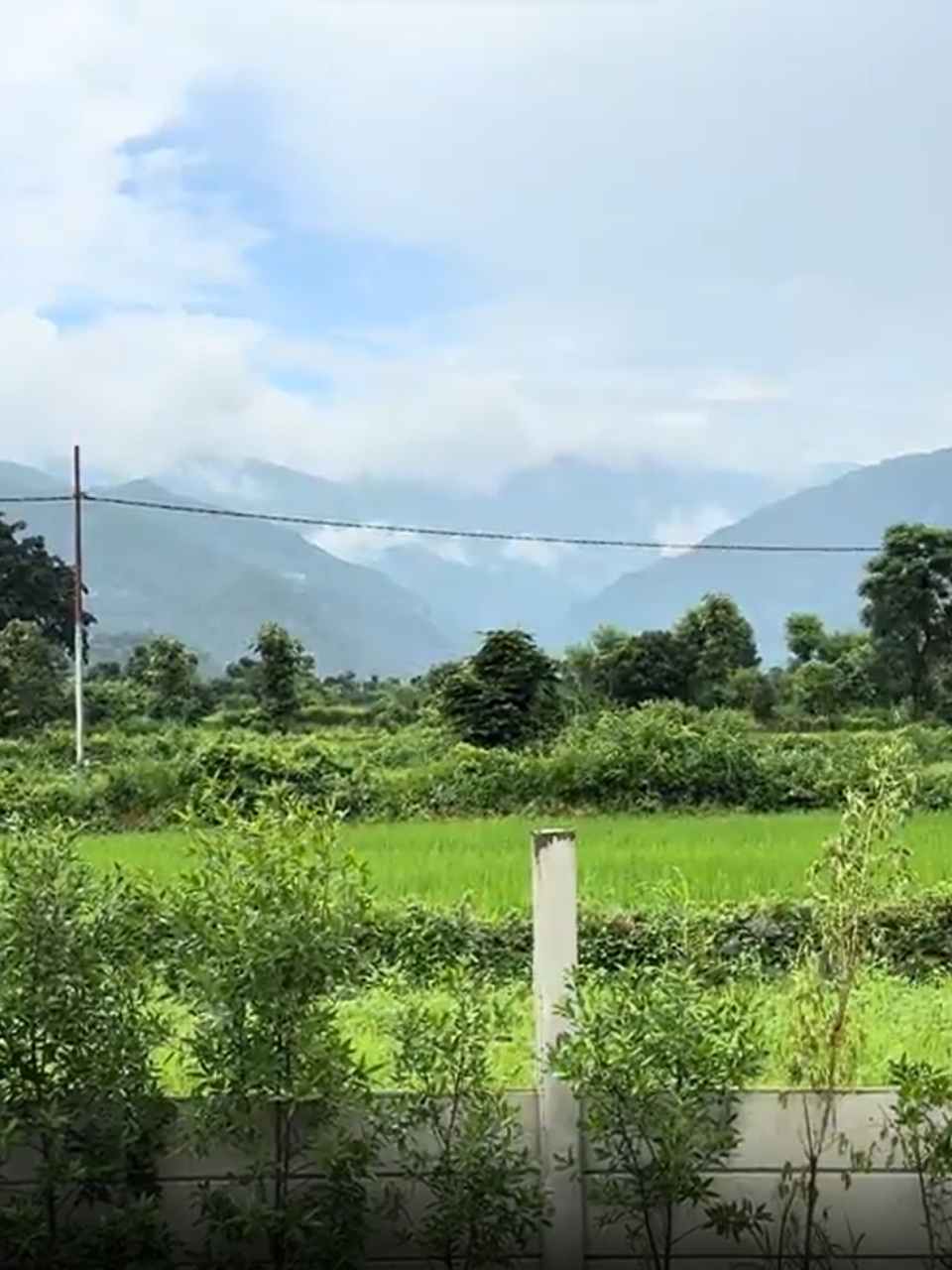 Rainy Season