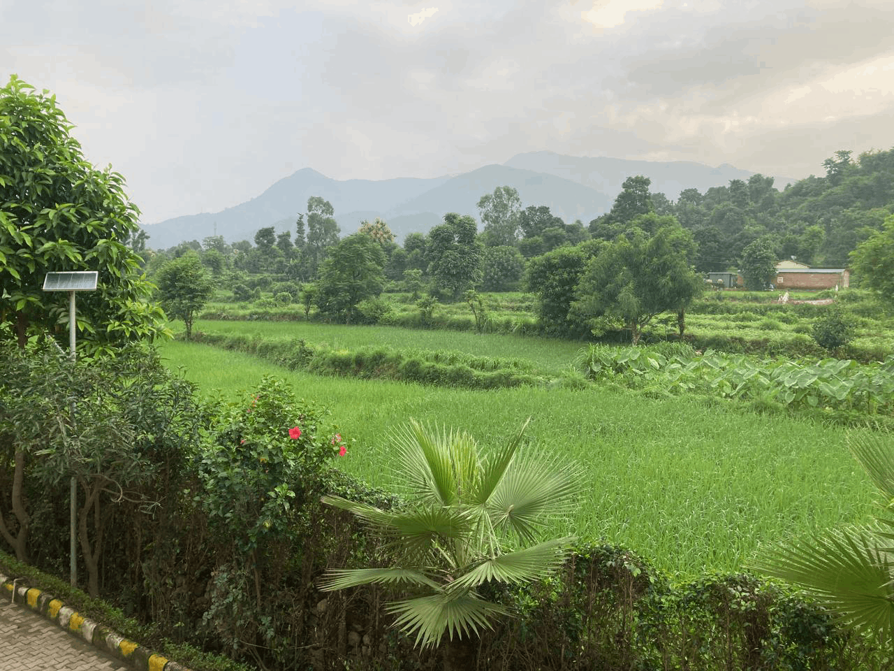 About Corbett Wilderness